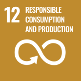 SDGs Goal 13 “Climate Action” icon (earth and climate action symbol)